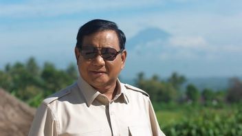 Prabowo Called Foreigners Take Advantage Of The Job Creation Act Demo, But Don't Know Which Country