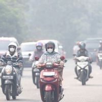 Kemenhut Intensifkan Pemadaman Karhutla di Kalbar