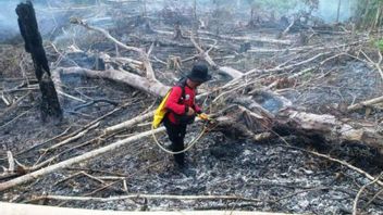 في الانتقال الموسمي ، بدأت حرائق الغابات والأراضي تزداد في جزيرة سومطرة