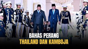 Bocoran Pembicaraan Presiden Prabowo dan PM Anwar Ibrahim