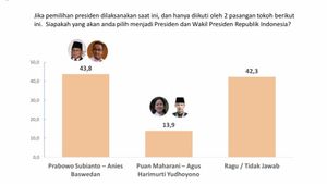 Simulasi Pilpres 2024: Prabowo-Anies Paling Banyak Dipilih, Prabowo-Puan Keok