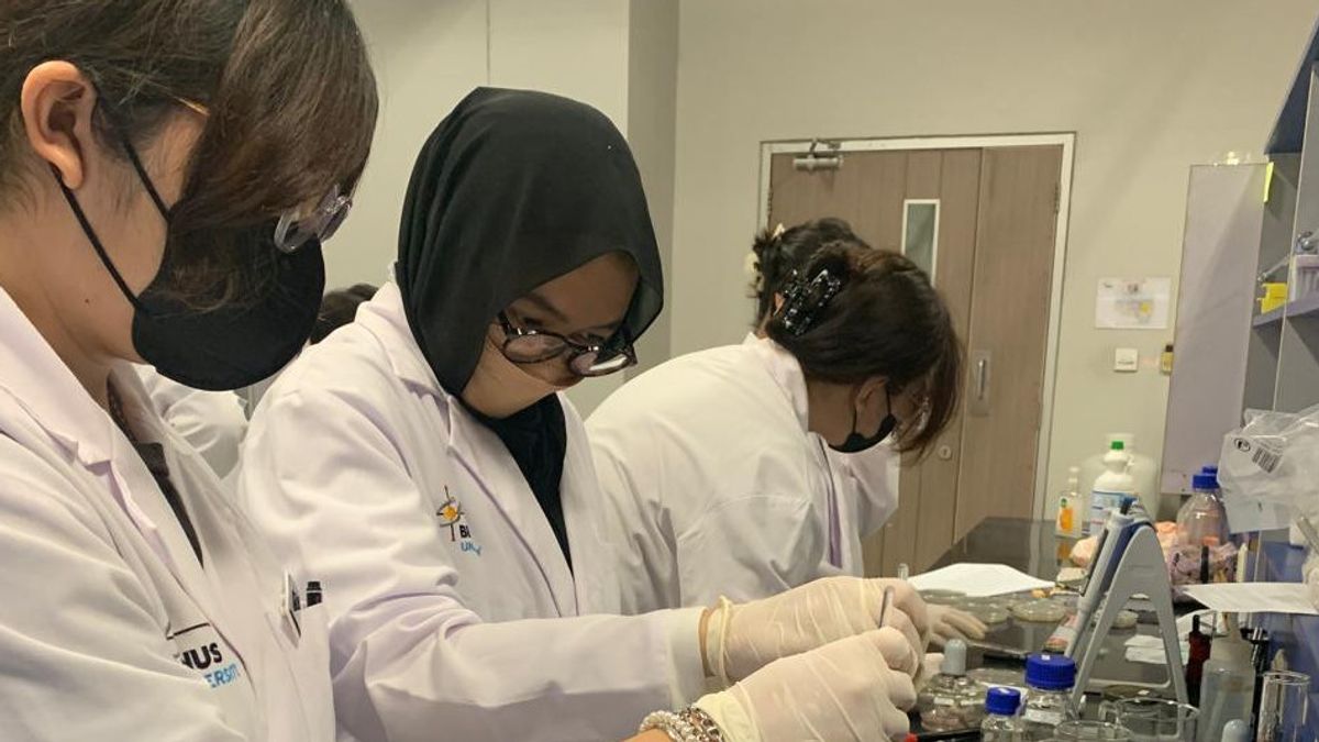 Dukung SDG’s Melalui Eco-Enzyme, Peran Inovasi Bioteknologi BINUS University untuk Masa Depan Berkelanjutan