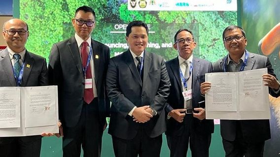 PLN Cooperates With PTBA To Take Advantage Of PLTU'S FABA