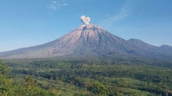 Gunung Semeru Erupsi dengan Abu Vulkanik ke Arah Barat Daya