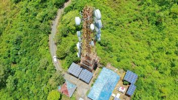 19 tours de télécommunications de Mitratel à IKN avec le concept de camouflage