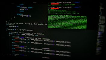Site BSSN Piraté, Expert En Cybersécurité: C’est Un Acte De Vengeance