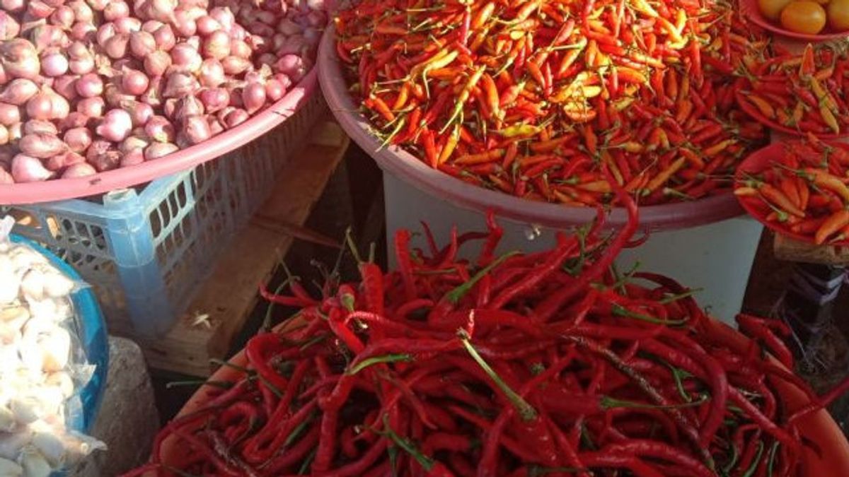 Bad Weather In Maluku Makes Red Chili Prices In Ambon Feel More 'Spicy'