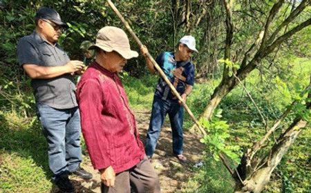 Kelompok Tani di Tangerang Panen Raya Hasil Pengolahan Lahan Tak Terpakai