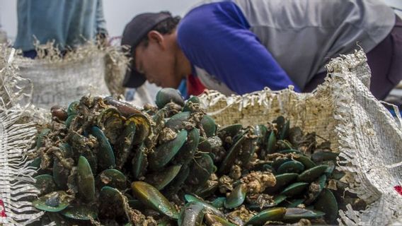 وزير الخارجية نصر الدين يوضح سبب استخدام الطائرة الخاصة الخاصة: مستعد للمساءلة إذا كان هناك عواقب