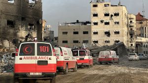 以色列士兵撤出后,在纳赛尔加沙医院附近的大规模墓地中发现了数百具尸体