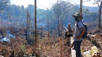 Damaged And Burned 9.2 Hectares Of Barisan Wildlife Sanctuary Forest In Solok, West Sumatra, AY Threatened With 10 Years Of Fines IDR 5 Billion