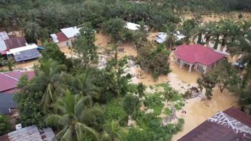 10 Daerah Dilanda Banjir dan Longsor Awal Tahun 2025