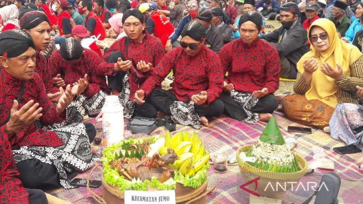 Seribu Nasi Tumpeng dan Ingkung Ayam Disuguhkan dalam Tradisi Wiwit Panen Tembakau dan Kopi di Temanggung