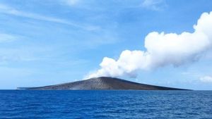 Masyarakat Diminta Waspadai Aktivitas Anak Krakatau