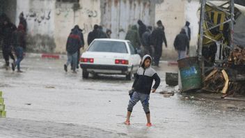 Amnesty International appelle les inondations à Gaza une tragédie évitable