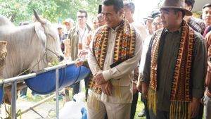 Minister Of Agriculture Strives For A Minimum Beef Price Of IDR 50,000 Per Kilogram