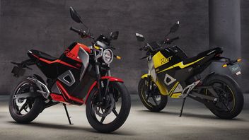 Rorr, A Strong And Cheap Electric Motorbike From India