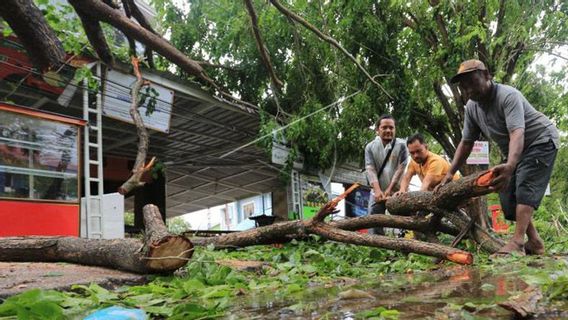 Strong Winds Hit Aceh, This Is BMKG's Explanation