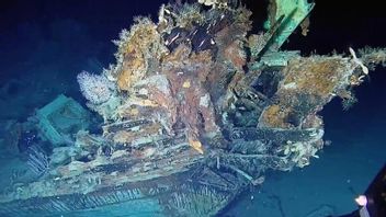 Watch The Treasure Ship Sunk In 1708, Colombia Finds Two Other Historic Ships
