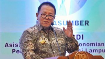Lampung Governor Highlights Potential Agriculture And Plantation As Supporters Of National Food Security And Economy