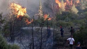 Berhasil Tangani Kebakaran Lahan, 7 Desa di Kaltim Diganjar Penghargaan