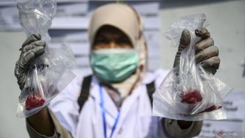 Pemeriksaan Kesehatan Hewan Kurban di Jakarta Dilaksanakan Dua Pekan