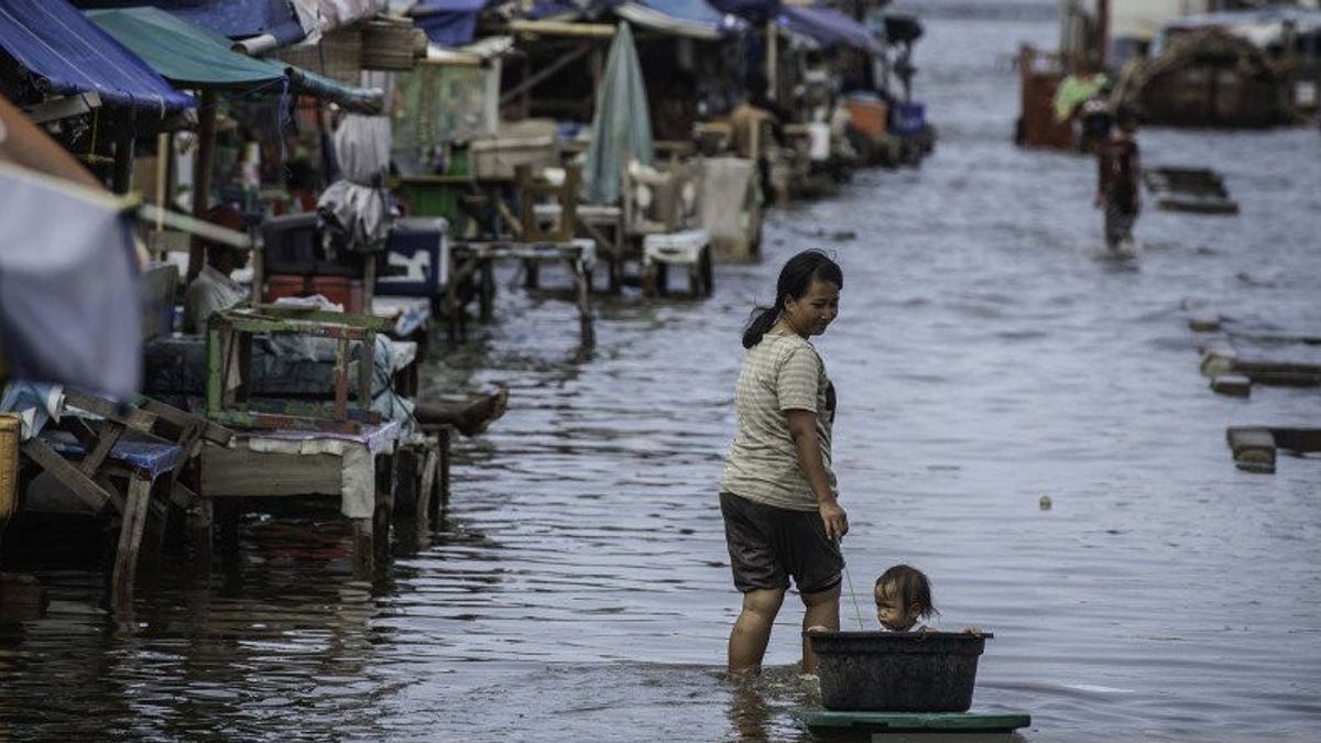 Jelang Fase Bulan Baru, Pesisir Jakarta Waspada Banjir Rob Hingga 19 Februari