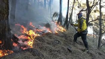 BPBD强调了库布拉亚卡尔巴4个最脆弱的森林和陆地火灾地区，机场的巡逻也得到了加强 