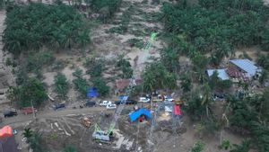 PLN Manfaatkan Crane jadi Tower Darurat di Aceh Pascabencana