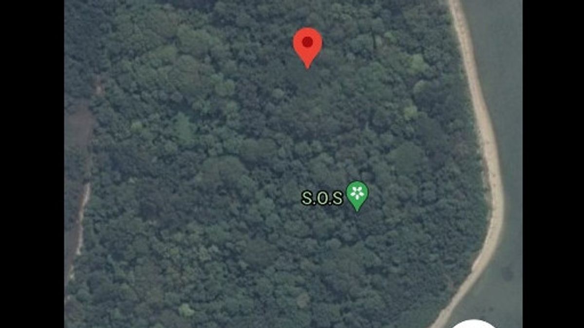 巴萨纳斯·达拉米谷歌地图上SOS标志的出现男性岛   