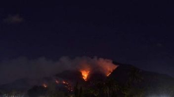 BMKG Keluarkan Peringatan Dini Kebakaran Hutan dan Lahan di Pulau Timor