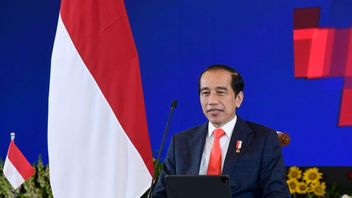 Reflections On Jokowi's 60 Years: The President's Historical Record In A Year