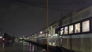 Jalur Semarang Tawang-Alastua Sudah Bisa Dilintasi Lokomotif dan KA dengan Kecepatan Terbatas