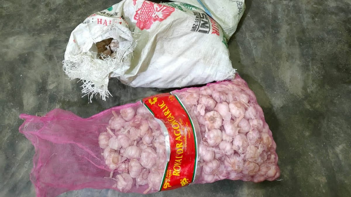 The Man Who Stole 120 Kg Of Garlic Belonging To Simbolon In Langkat, North Sumatra, Was Arrested
