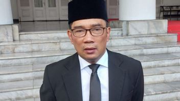 Strategi Ridwan Kamil Atasi Banjir Jakarta, Bikin 'Parkiran Air' di Bogor