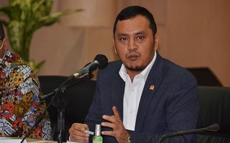 Gerindra-PDIP Dikabarkan Koalisi, NasDem: Bagus Dilakukan Sejak Dini, Bukan Dadakan