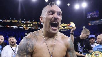 إذا اجتازت 3 معارك كبيرة ، فسوف يتقاعد Oleksandr Usyk