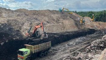 Les entreprises minières recevront des incitations fiscales si la réhabilitation forestière dans IKN