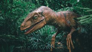 Bukan Meteor, Tapi Perubahan Iklim yang Picu Dinosaurus Punah