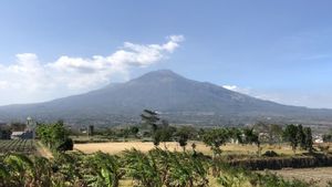 Seorang Pelari Lintas Dikabarkan Hilang di Gunung Arjuno, Petugas Tambah Personel Lakukan Pencarian