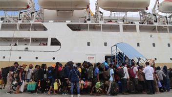 37,449 شخصا يستفيدون من العودة إلى الوطن مجانا من وزارة النقل لاستخدام السفن البحرية