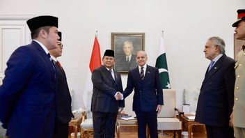 Presiden Prabowo dan PM Shehbaz Sharif Perluas Kerja Sama Bilateral