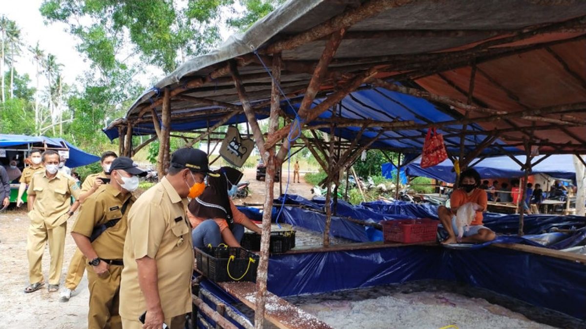 Jellyfish Production In Belitung Reaches 240 Tons Per Week, Sold To Taiwan, China, South Korea And Japan