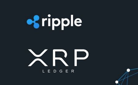 Mantan Direktur Ripple Soroti Keunggulan XRP Ledger dalam Menyelesaikan Masalah Blockchain