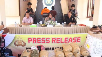 Protéger 10 kg de marijuana de 2 suspects à Bukittinggi, la police retrace ses propres ressources