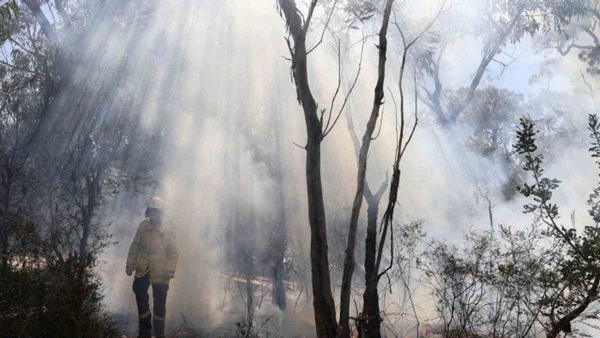 BMKG Warns NTT Status To Be Wary Of Forest And Land Fires