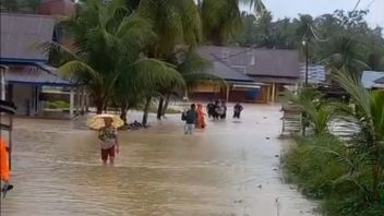  Mentan Minta Pemda di Sumbar Gesit Tangani Lahan Terdampak Bencana Akhir 2025