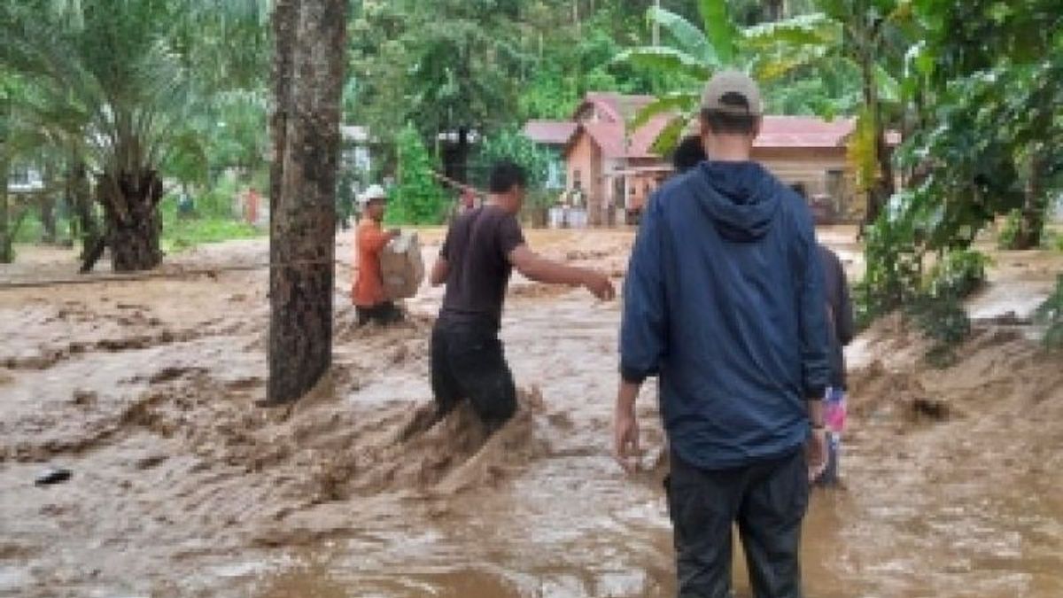 Korban Hilang Akibat Bencana di Sumut Bertambah Jadi 205 Orang