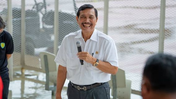 Luhut <i>Video Call</i> Tesla Enam Kali, Besok Perusahaan Elon Musk Itu Sampaikan Proposal Investasi