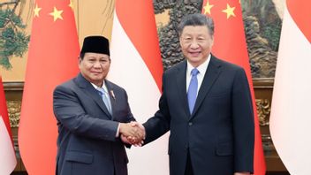 Chinese President Xi Jinping Praises Jokowi's Leadership When Meeting Prabowo